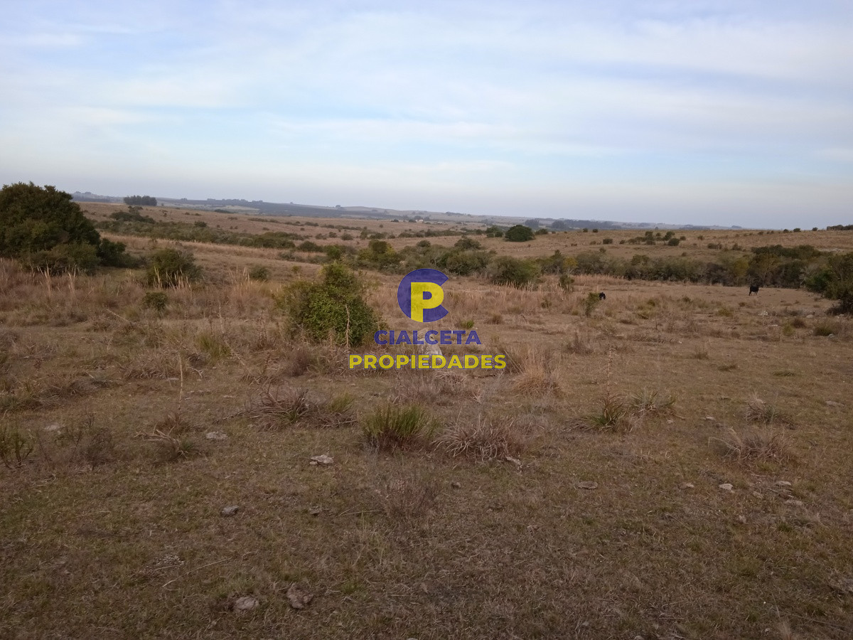 Chacra ID.157 - 10 hectáreas en Garzón