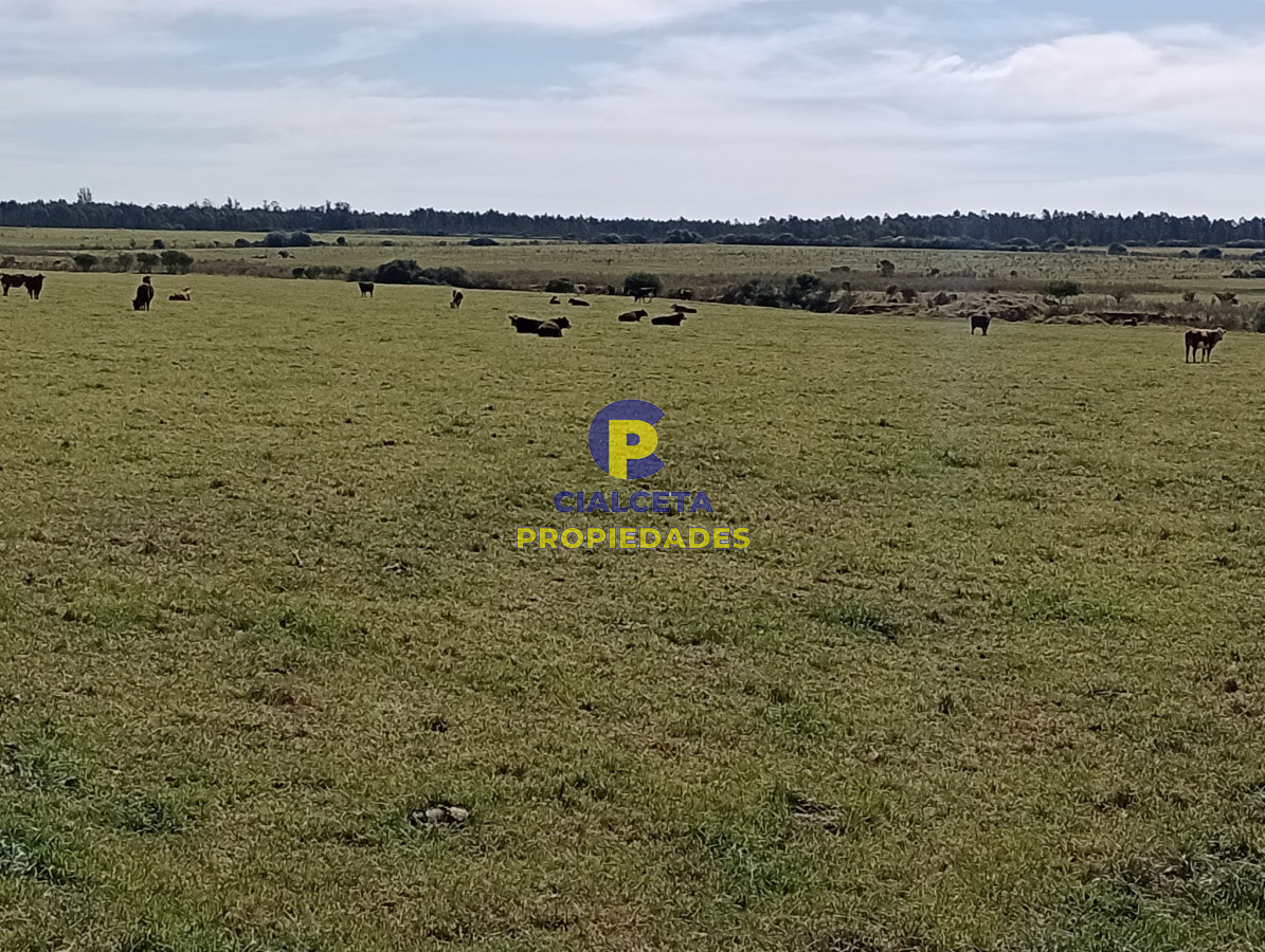Chacra ID.287 - 5 hectáreas en Maldonado