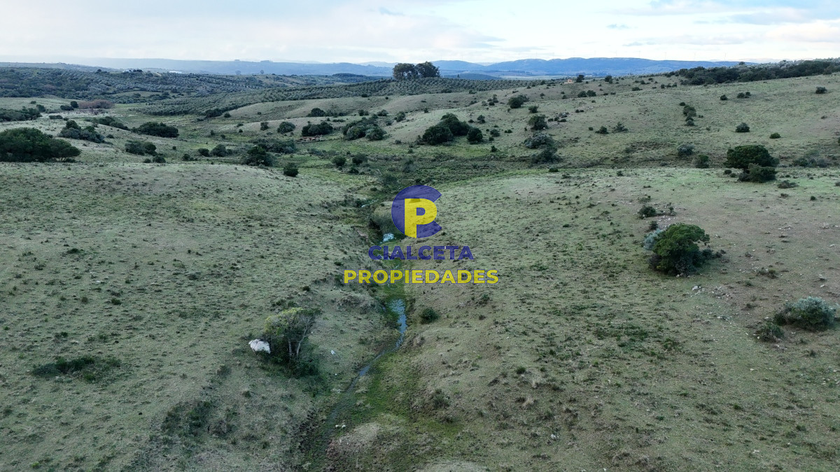 Chacra ID.460 - 5 hectáreas a 10 km de Pueblo Edén, sobre camino