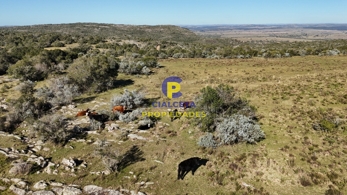 Chacra ID.493 - 5 hectáreas con entrega de 6 mil dólares