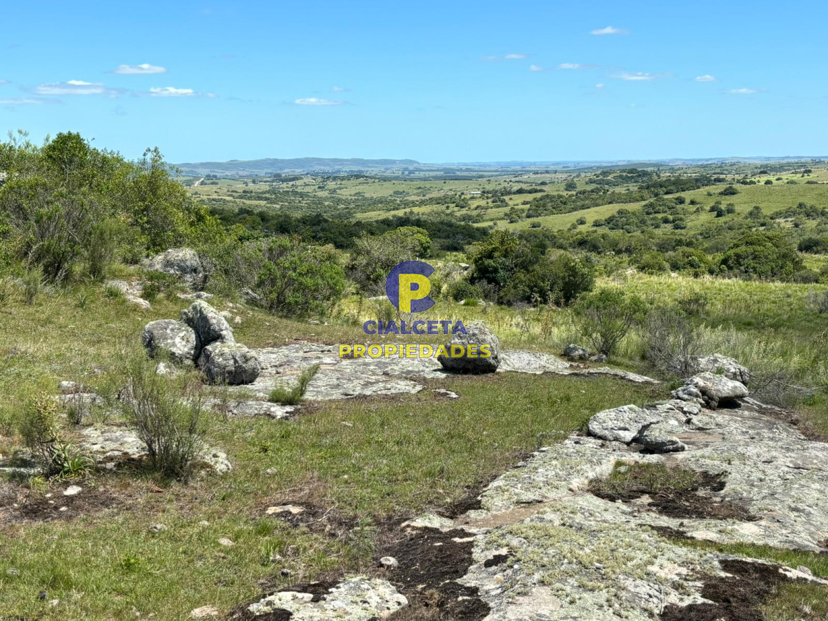 Las Cañas - GoPunta - Portal Inmobiliario de Punta del Este - Maldonado