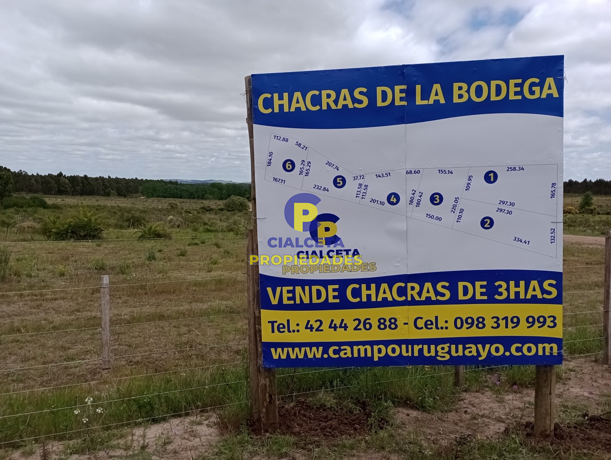 Chacra ID.201 - 3 hectáreas en Canelones