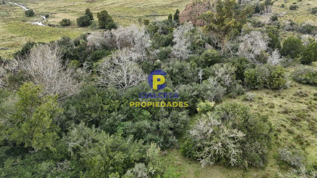 Minas - GoPunta - Portal Inmobiliario de Punta del Este - Maldonado