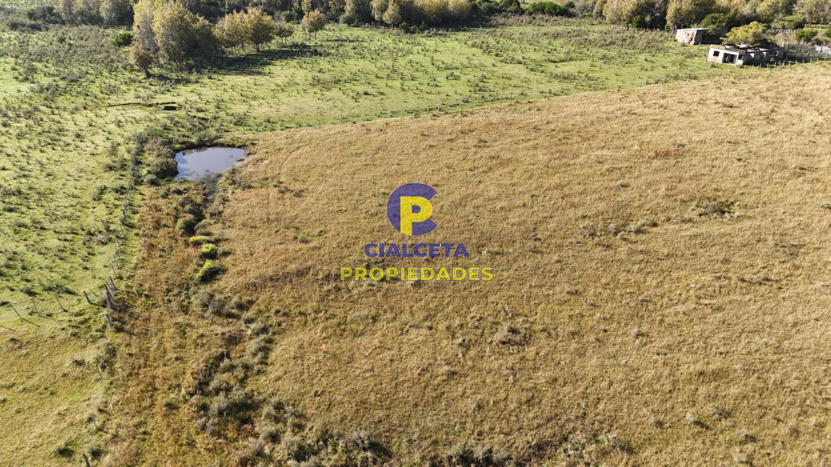 Chacra ID.575 - 11 hectáreas en Canelones, sobre carretera
