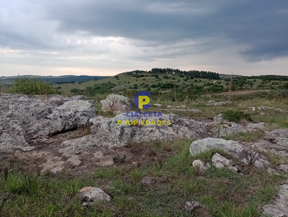 Chacra ID.181 - 5 hectáreas en Pueblo Edén