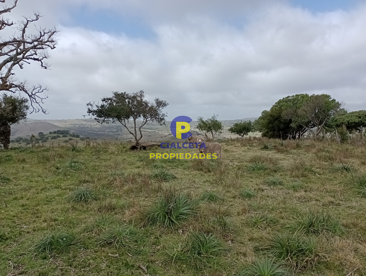 Chacra ID.419 - 5 hectáreas con la vista mas linda de la zona