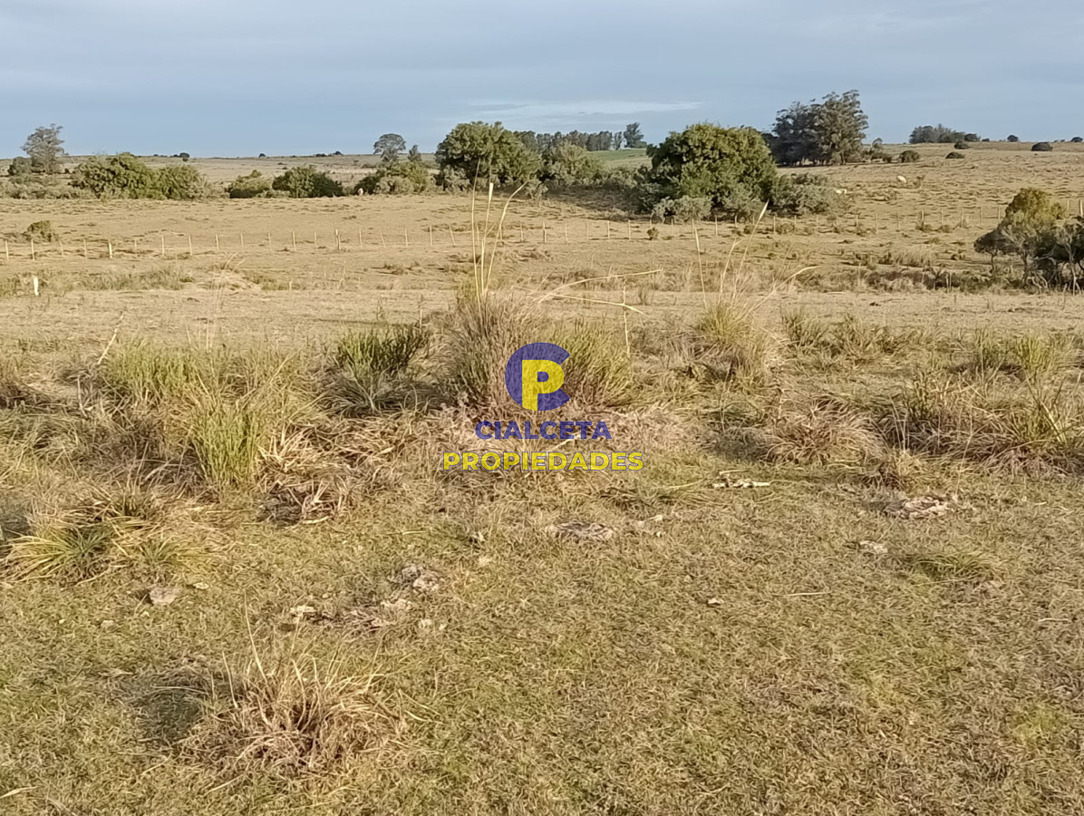 Chacra ID.266 - 5 hectáreas en maldonado