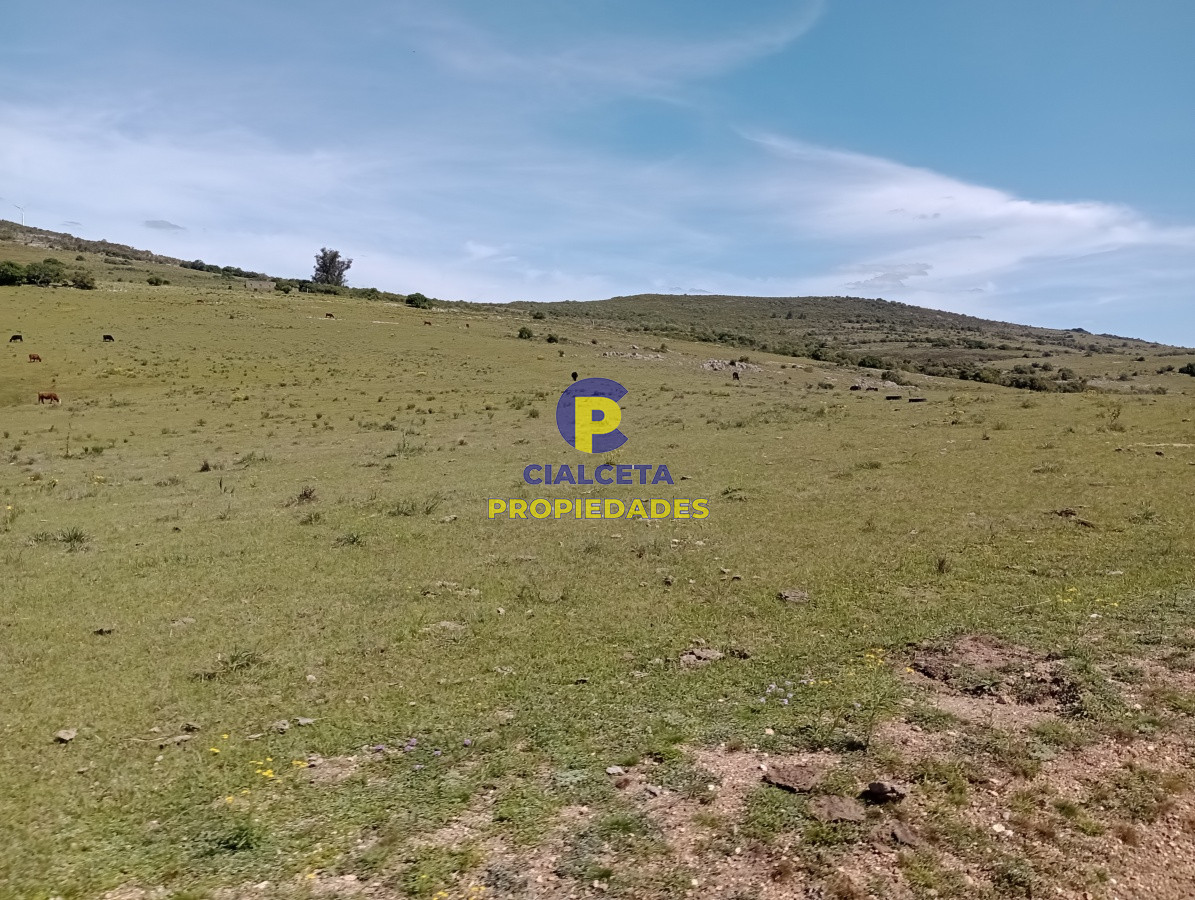 Chacra ID.208 - 5 hectáreas en Pueblo Edén