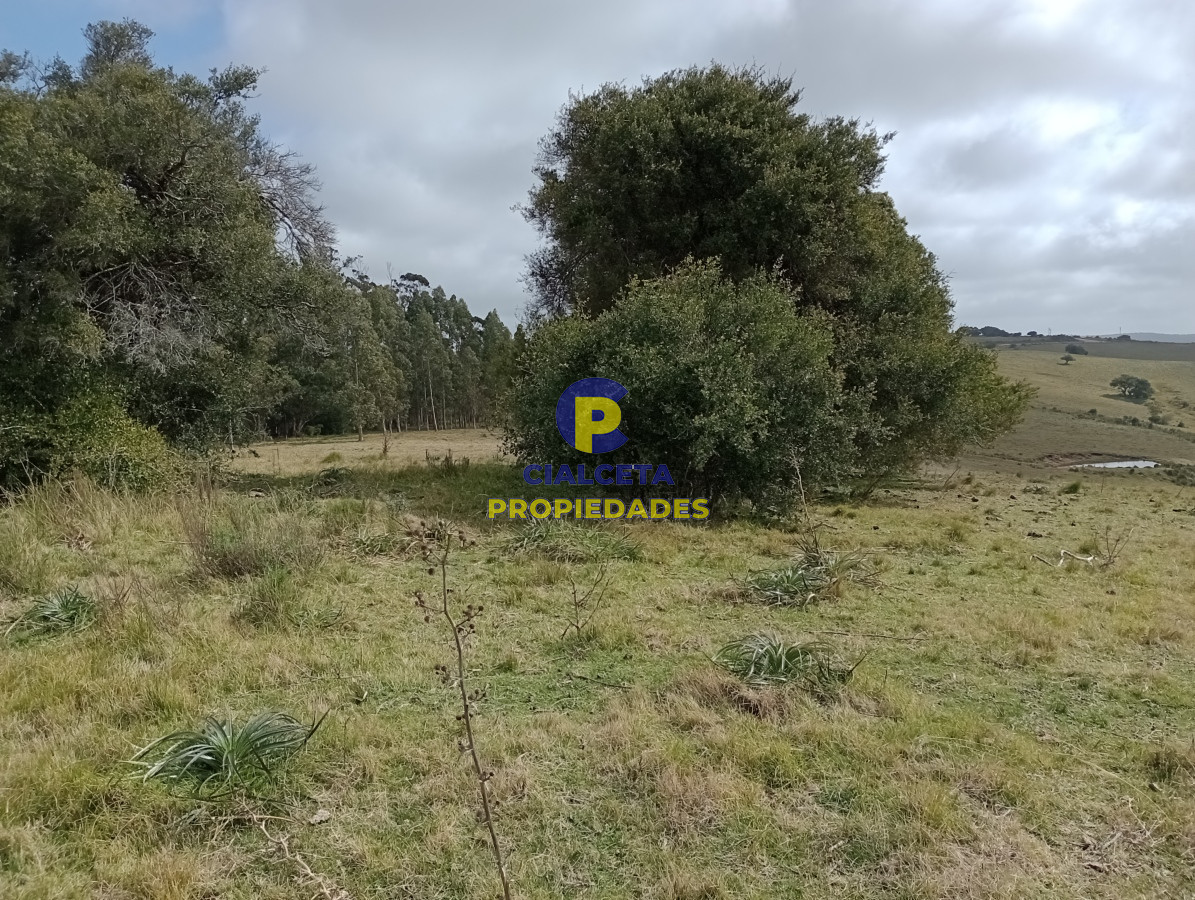 Zona Rural - GoPunta - Portal Inmobiliario de Punta del Este - Maldonado