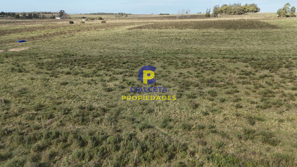 Migues - GoPunta - Portal Inmobiliario de Punta del Este - Maldonado