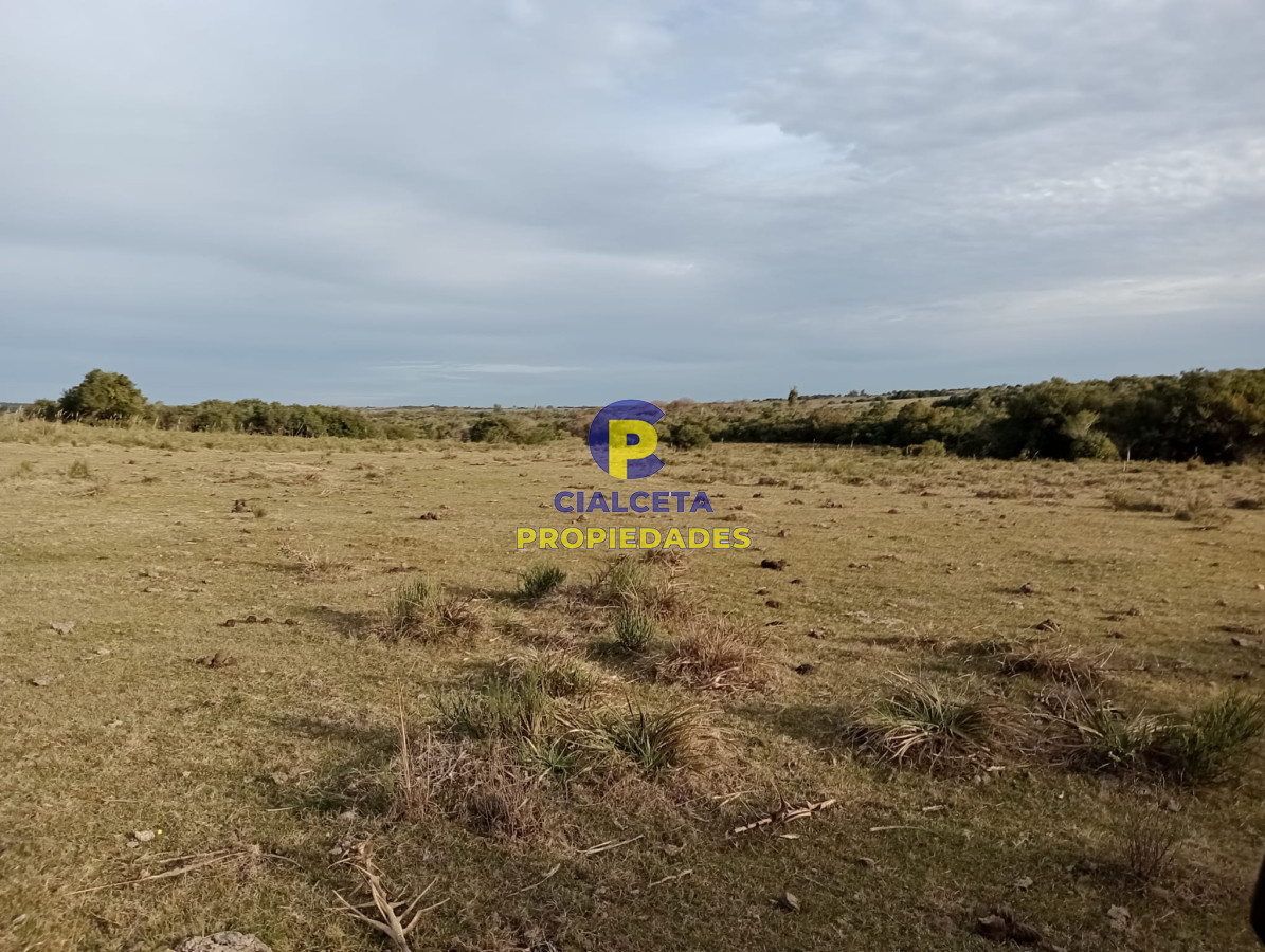 Chacra ID.269 - 5 hectáreas en Maldonado