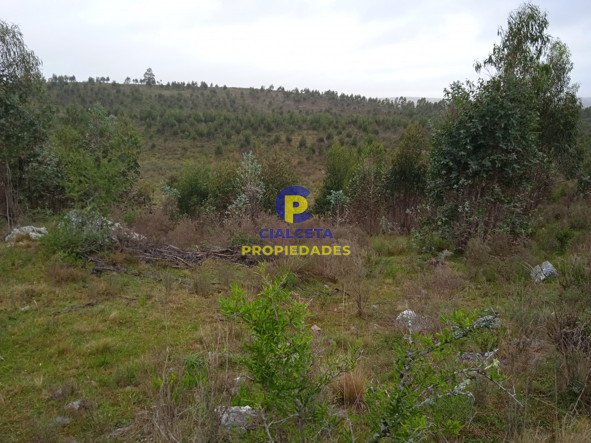 Chacra ID.47 - 5 hectáreas, entregando 7.000 U$S se financian