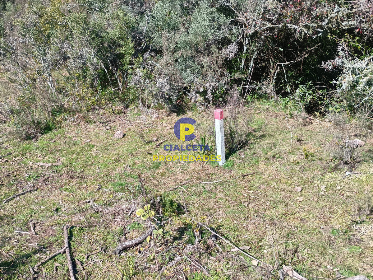 Zona Rural - GoPunta - Portal Inmobiliario de Punta del Este - Maldonado