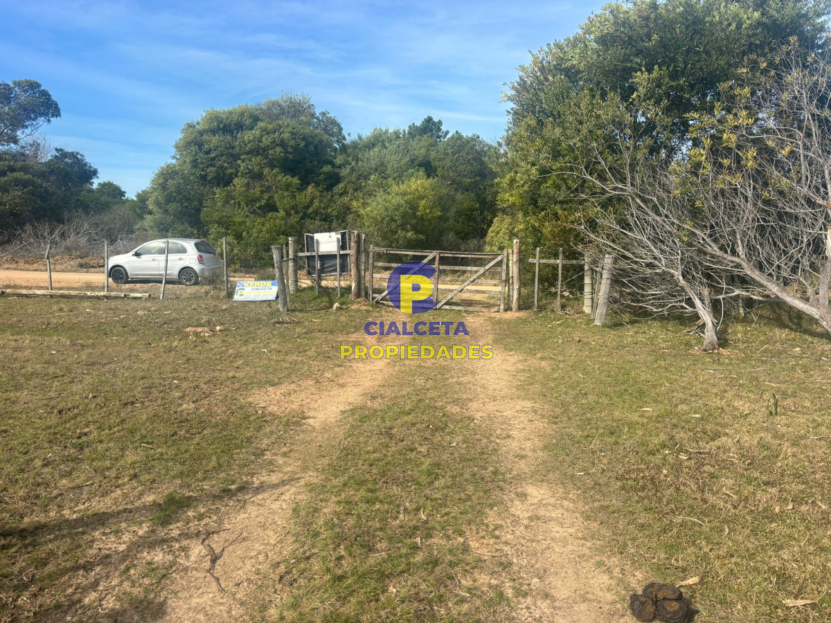 Maldonado - GoPunta - Portal Inmobiliario de Punta del Este - Maldonado