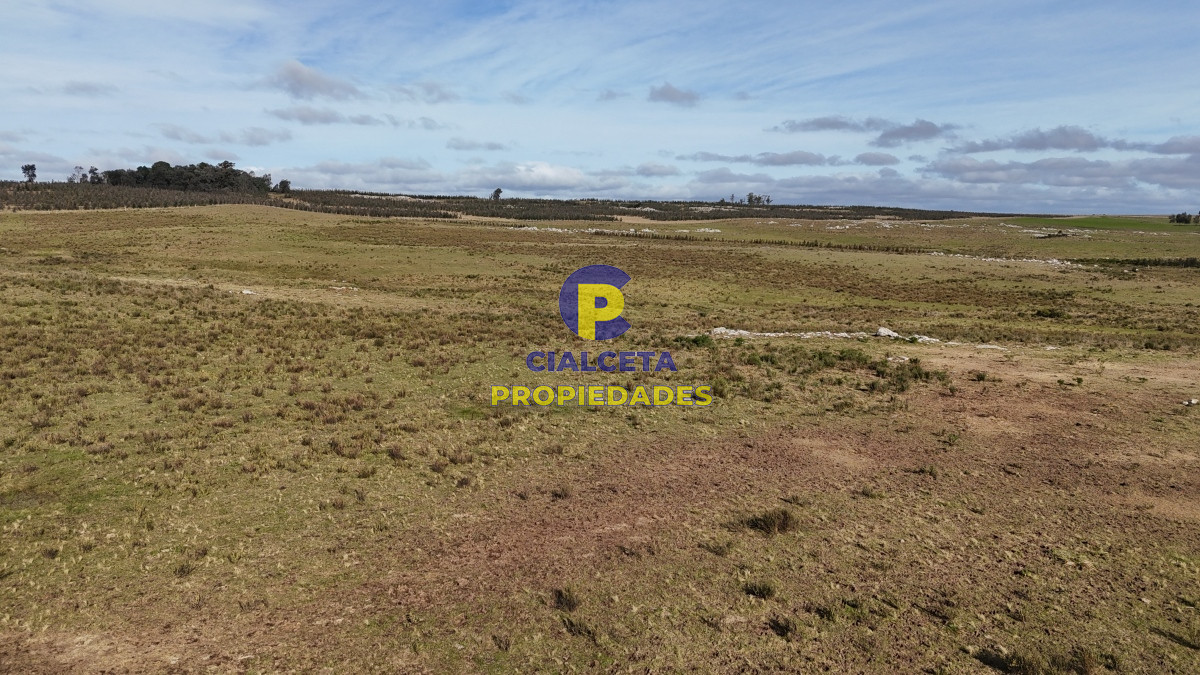 Villa Serrana - GoPunta - Portal Inmobiliario de Punta del Este - Maldonado