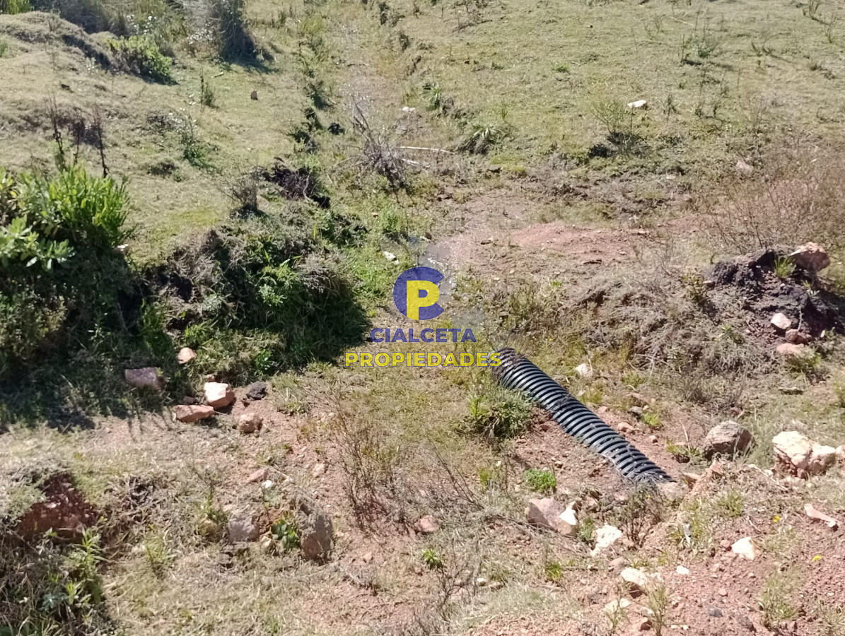Chacra ID.292 - 5 hectáreas con monte y cañada
