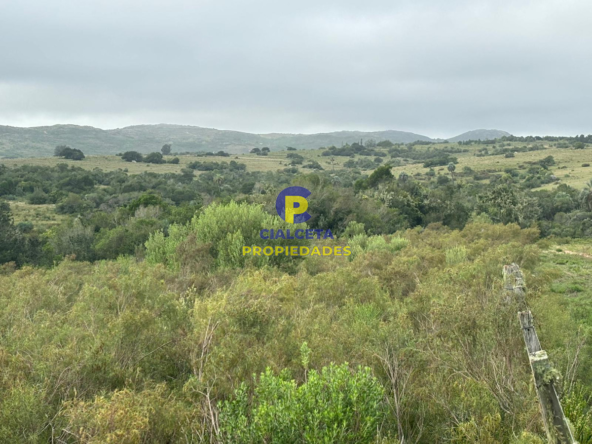 Las Cañas - GoPunta - Portal Inmobiliario de Punta del Este - Maldonado