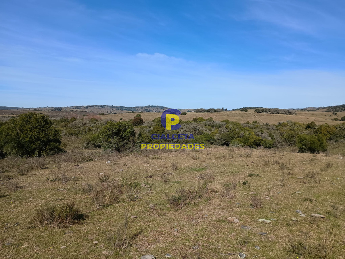 Zona Rural - GoPunta - Portal Inmobiliario de Punta del Este - Maldonado