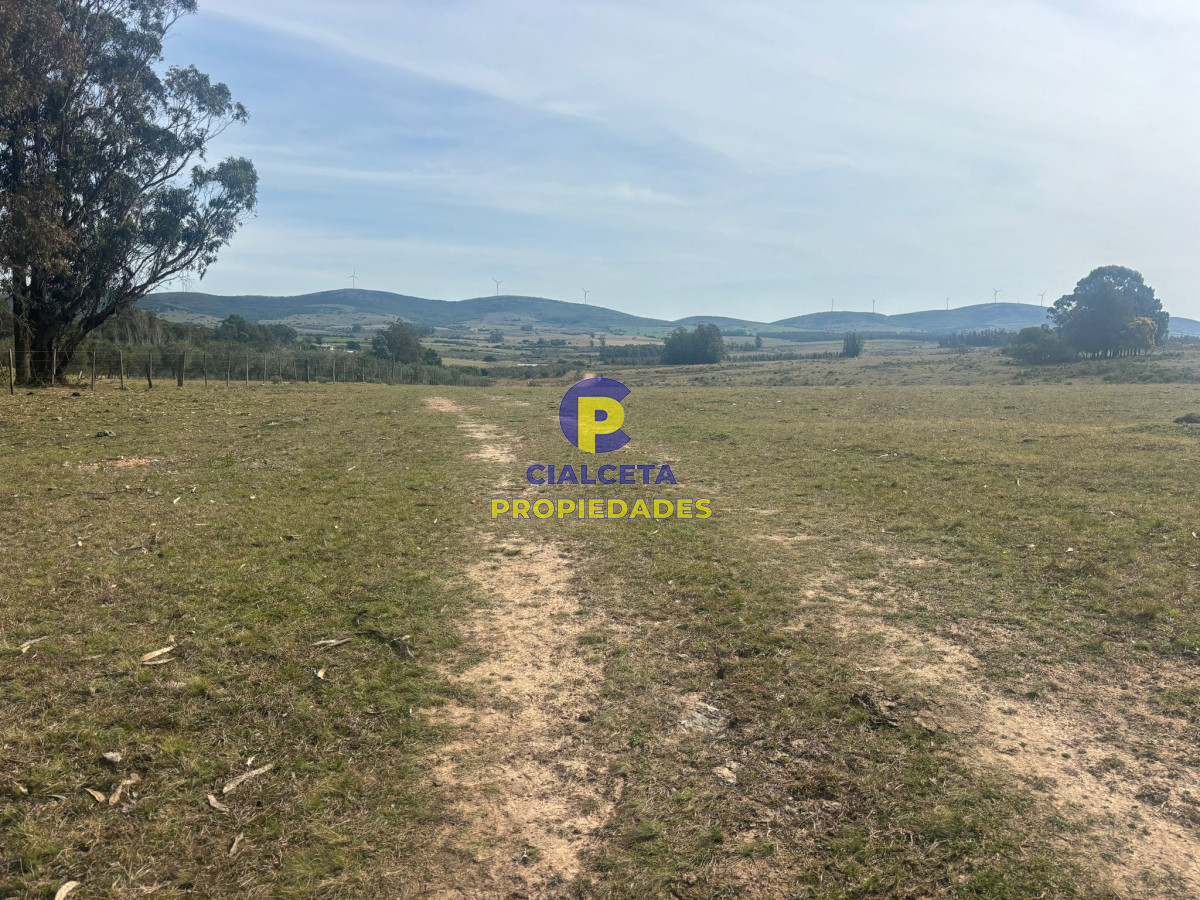 Maldonado - GoPunta - Portal Inmobiliario de Punta del Este - Maldonado