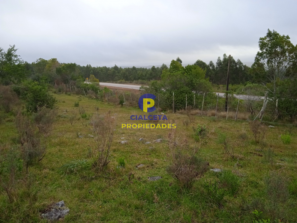 Chacra ID.48 - Entrega 7.000 U$S y saldo en 72 cuotas de 593 U$S