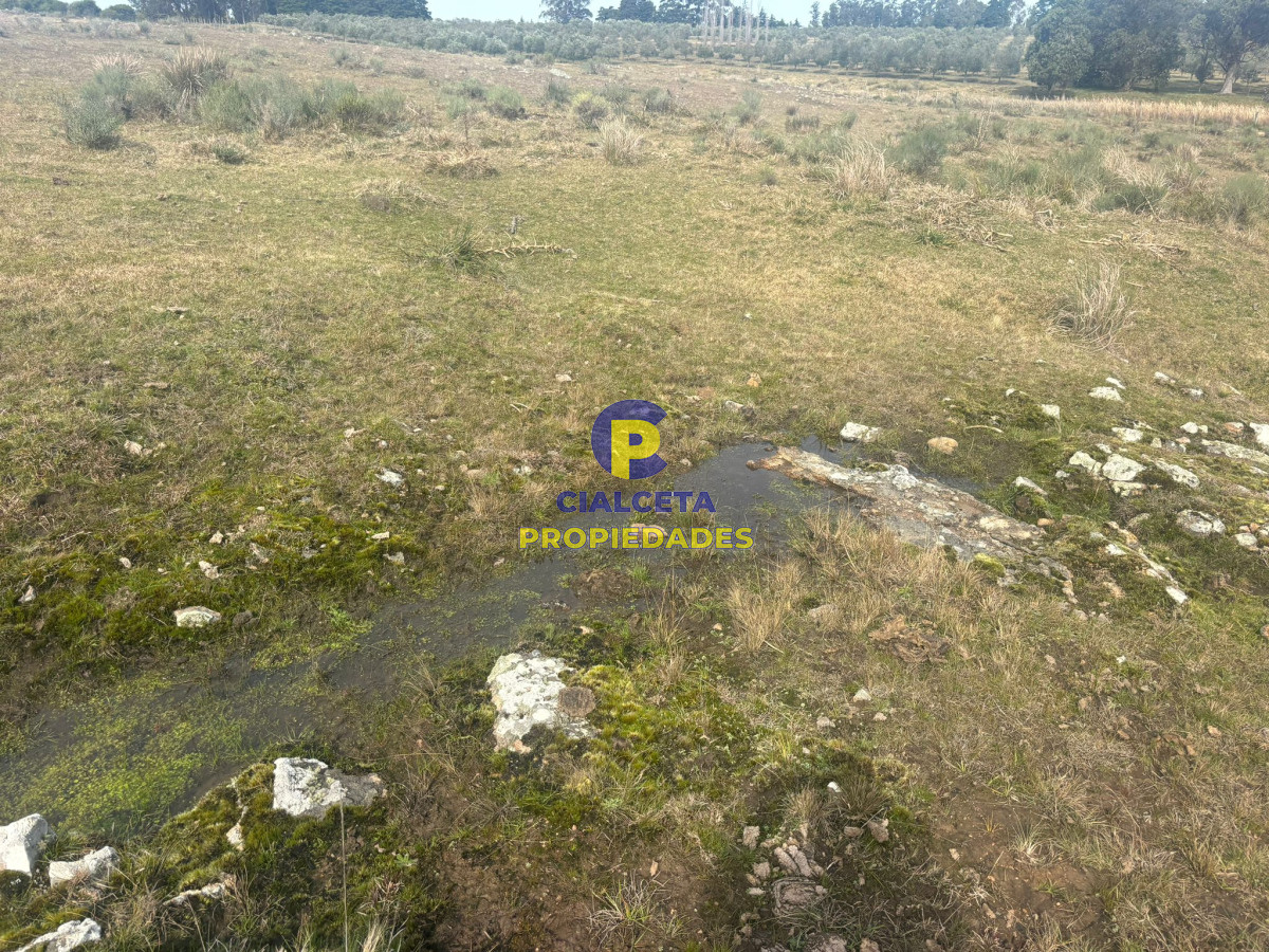 Maldonado - GoPunta - Portal Inmobiliario de Punta del Este - Maldonado