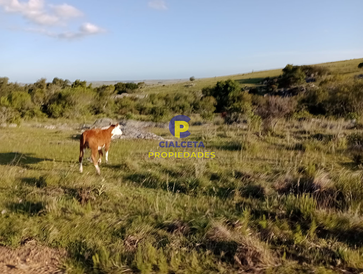 Maldonado - GoPunta - Portal Inmobiliario de Punta del Este - Maldonado