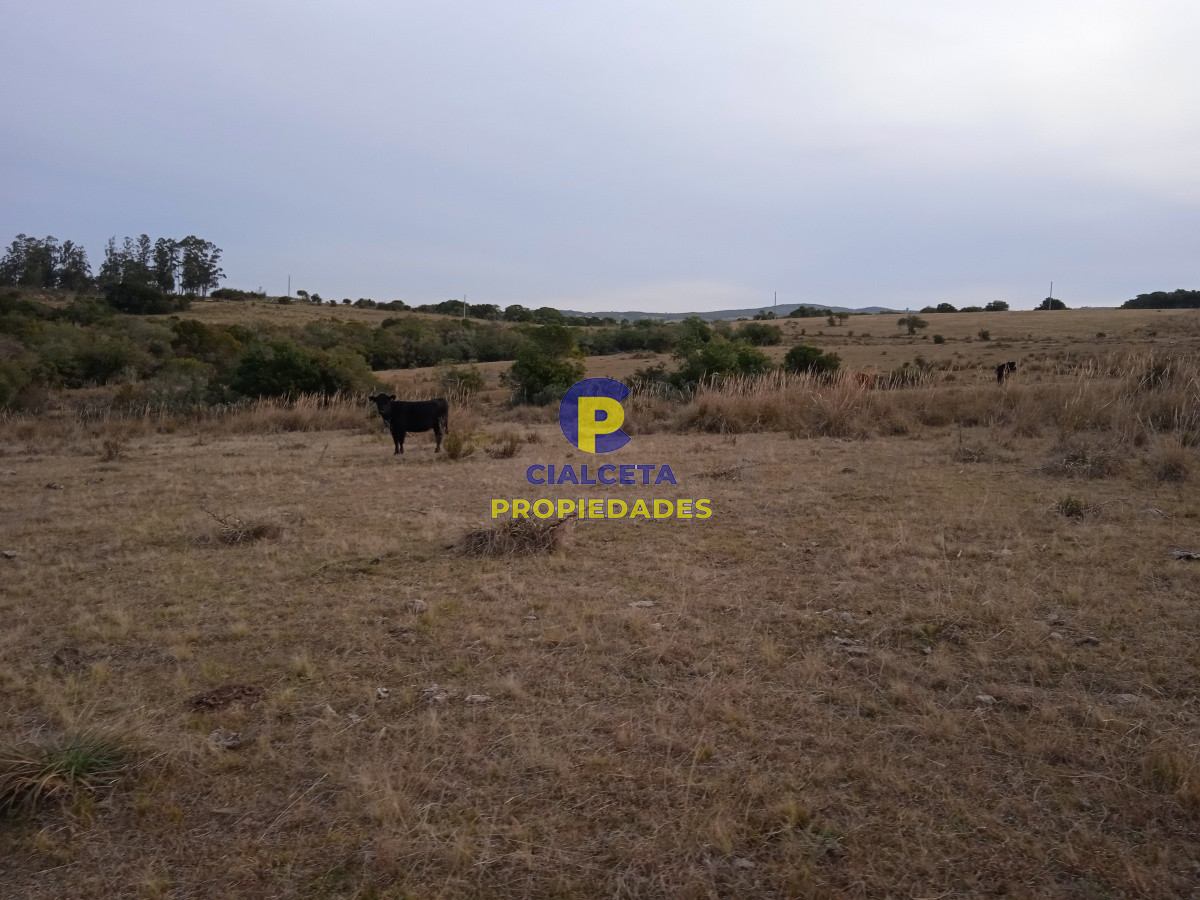 Chacra ID.157 - 10 hectáreas en Garzón