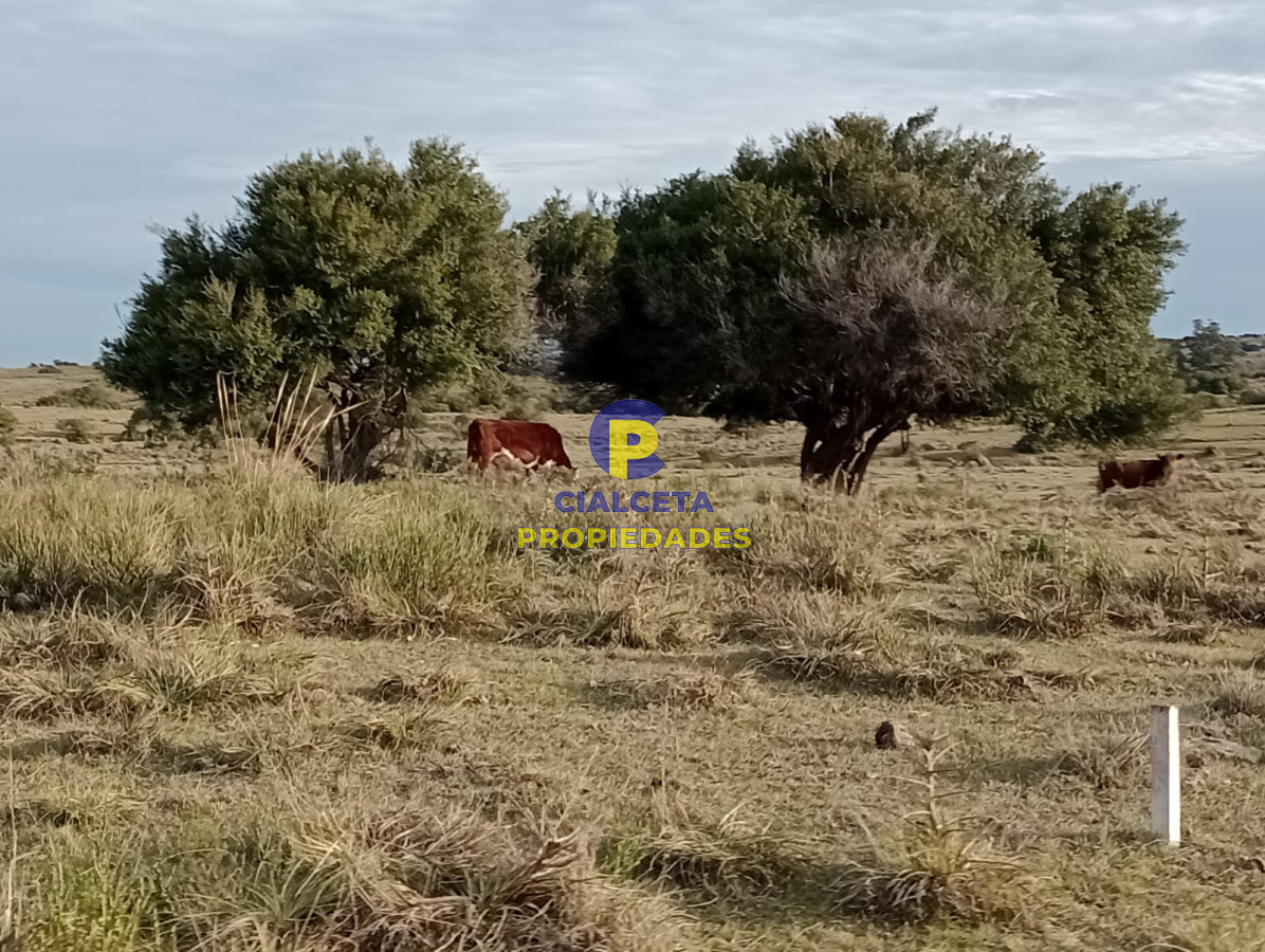 Chacra ID.268 - 5 hectáreas en Malonado