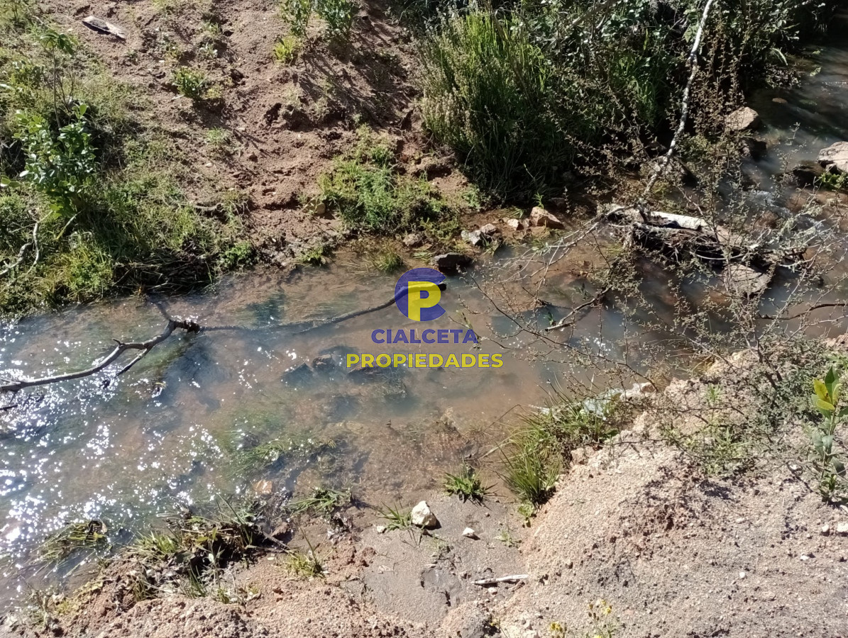 Chacra ID.292 - 5 hectáreas con monte y cañada