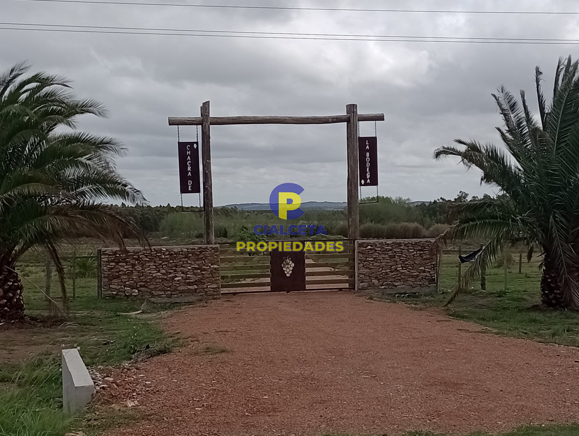 Chacra ID.201 - 3 hectáreas en Canelones