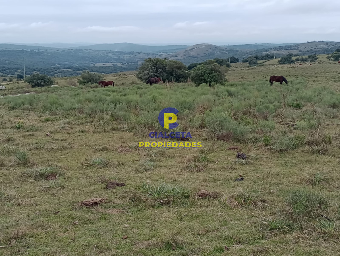 Propiedad - GoPunta - Portal Inmobiliario de Punta del Este - Maldonado