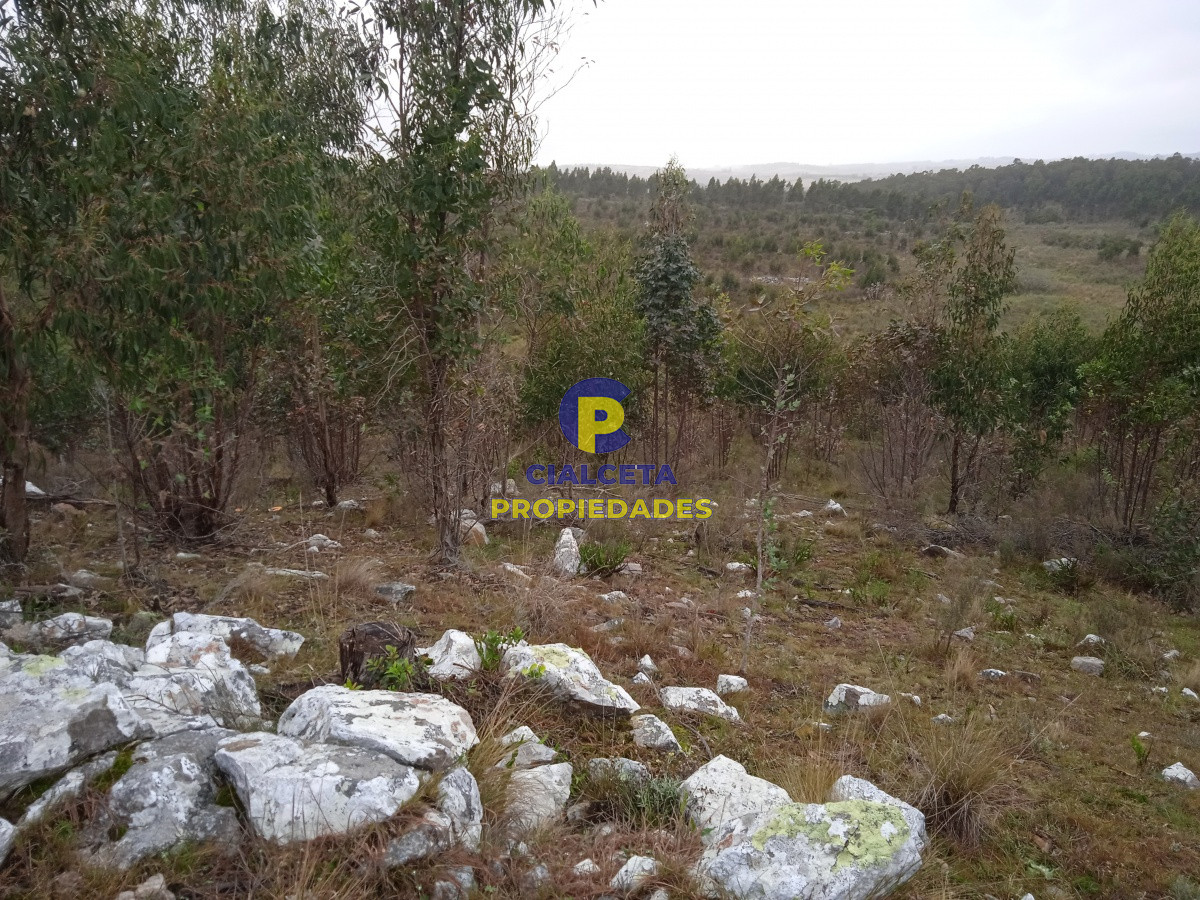 Chacra ID.48 - Entrega 7.000 U$S y saldo en 72 cuotas de 593 U$S