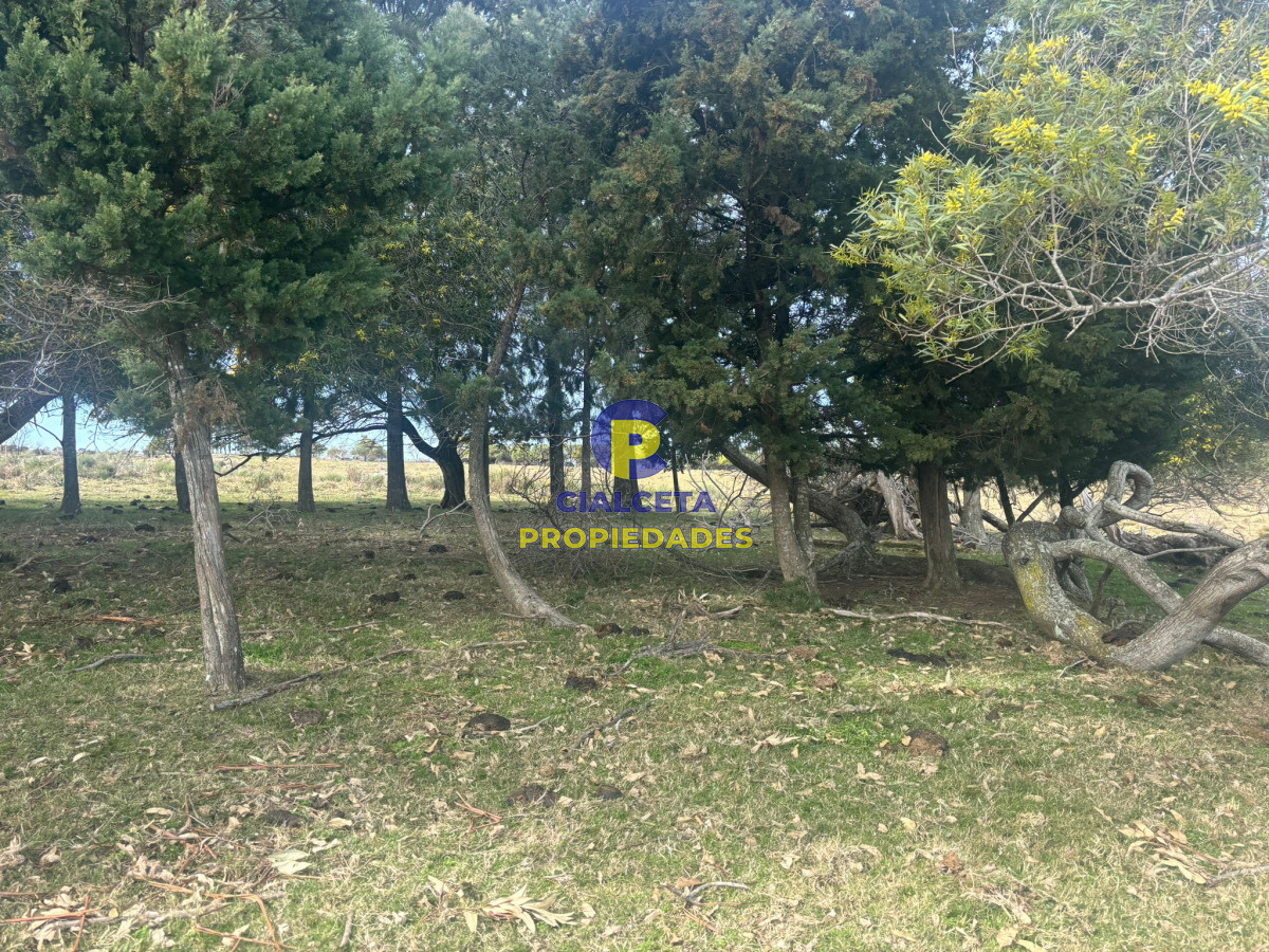 Maldonado - GoPunta - Portal Inmobiliario de Punta del Este - Maldonado