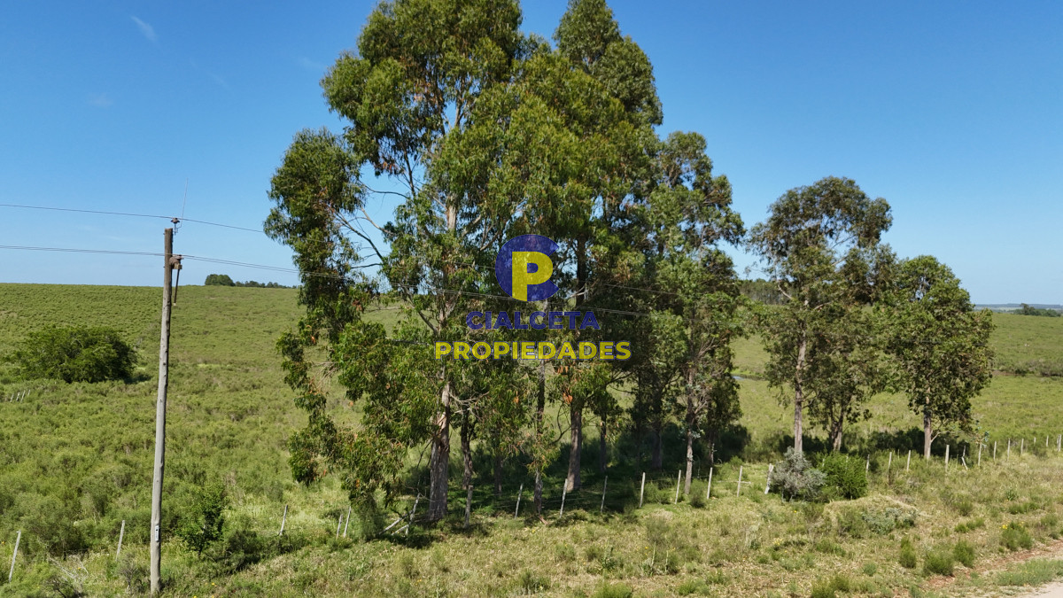 Minas - GoPunta - Portal Inmobiliario de Punta del Este - Maldonado
