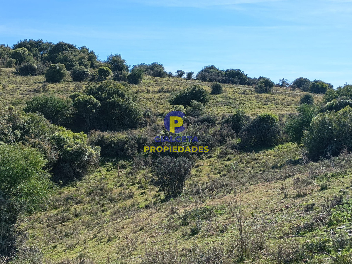 Chacra ID.583 - 5 hectáreas con arroyo, entrega 7.000 U$S y saldo en cuotas