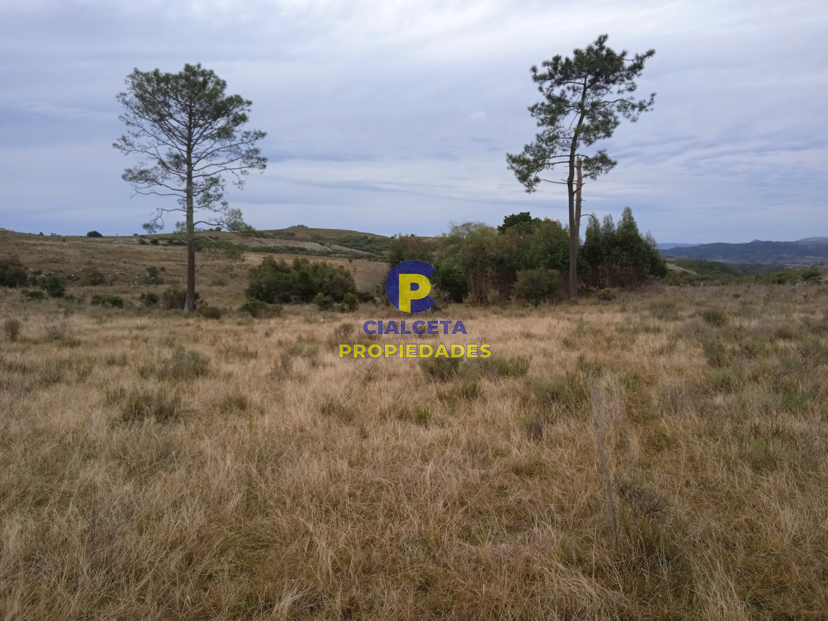 Zona Rural - GoPunta - Portal Inmobiliario de Punta del Este - Maldonado