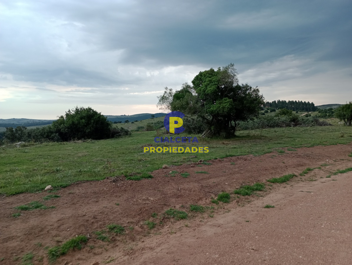 Chacra ID.181 - 5 hectáreas en Pueblo Edén