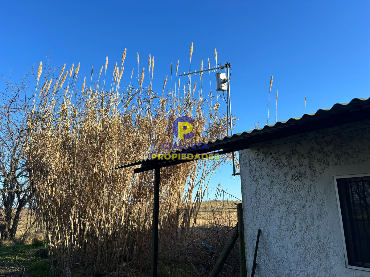Chacra ID.585 - 3 hectáreas en Migues con casa, lo que no se consigue
