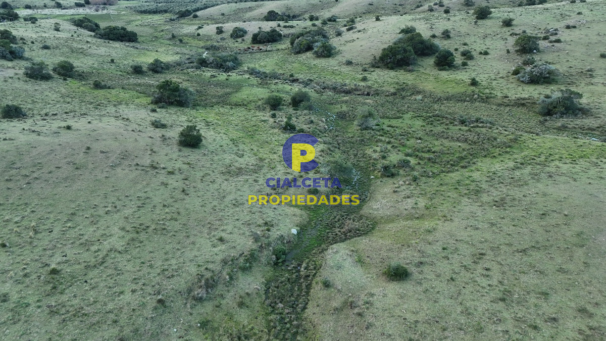 Chacra ID.460 - 5 hectáreas a 10 km de Pueblo Edén, sobre camino