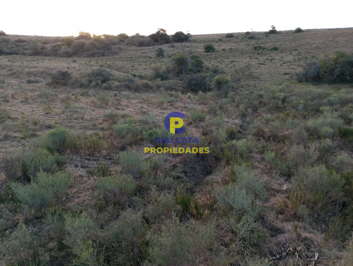 Chacra ID.299 - 6 hectáreas en Pueblo Edén