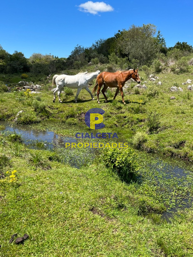Chacra ID.367 - 5 hectáreas con excelente casa en un lugar increíble