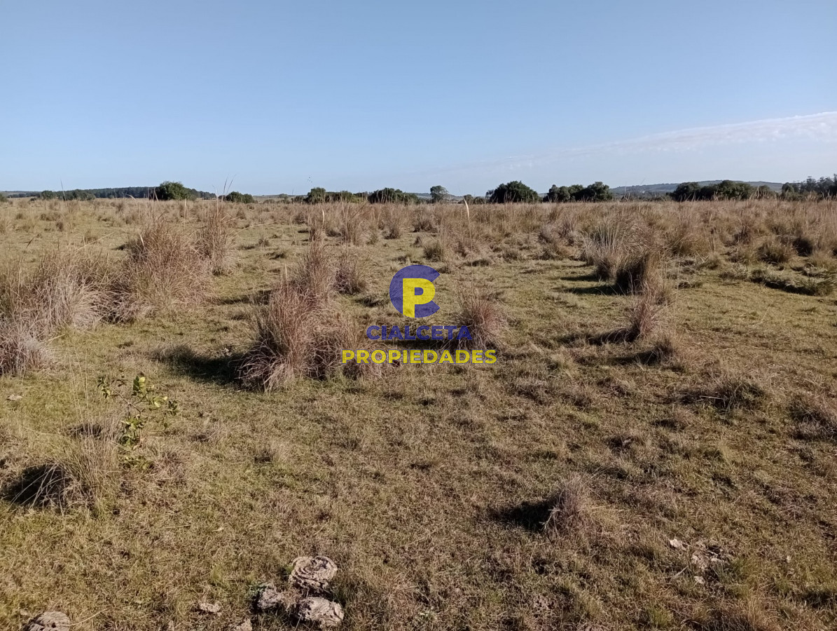 Chacra ID.275 - 5 hectáreas en Garzón