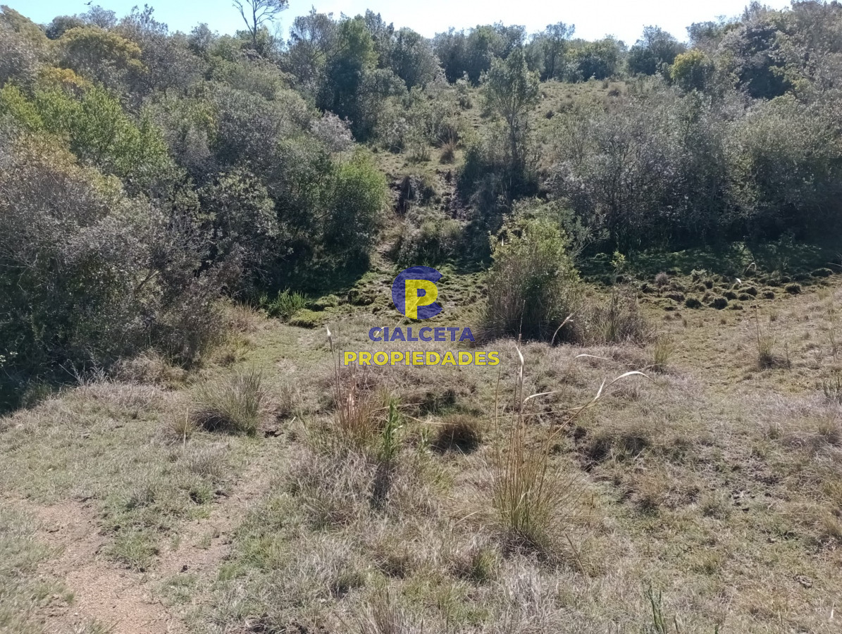 Chacra ID.292 - 5 hectáreas con monte y cañada