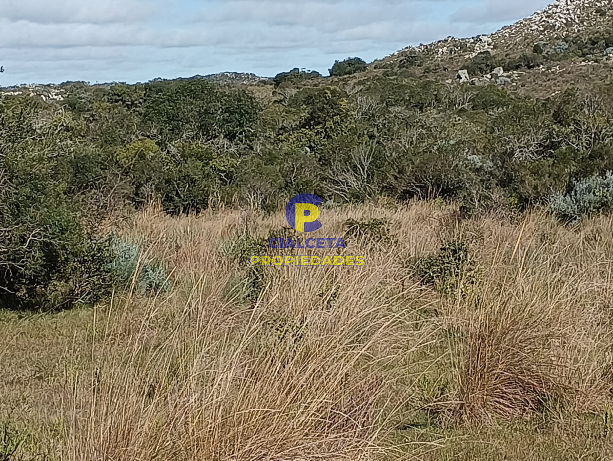 Chacra ID.524 - 8 hectáreas en Maldonado, con monte nativo