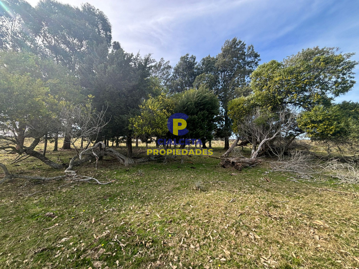 Maldonado - GoPunta - Portal Inmobiliario de Punta del Este - Maldonado