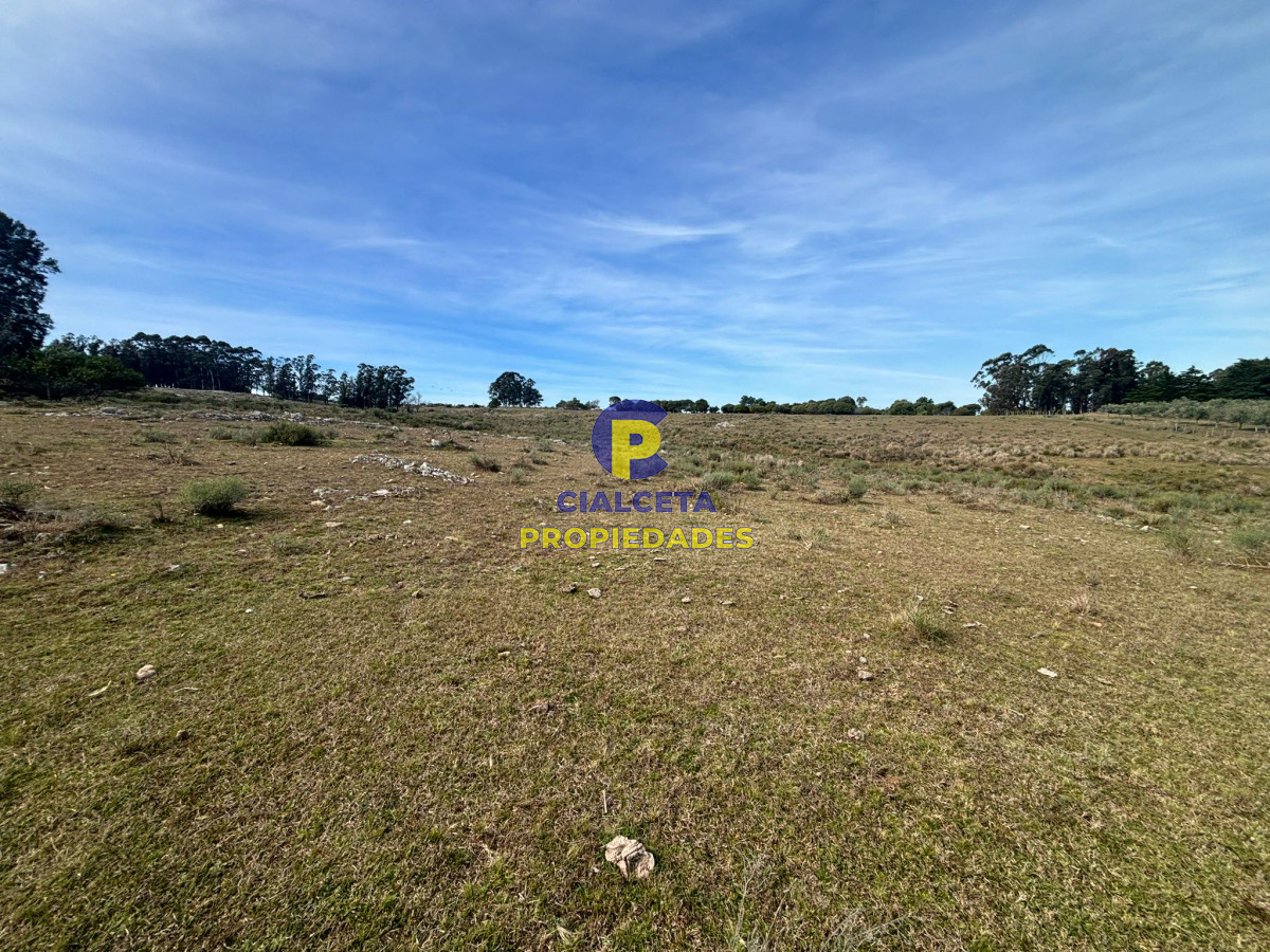 Maldonado - GoPunta - Portal Inmobiliario de Punta del Este - Maldonado