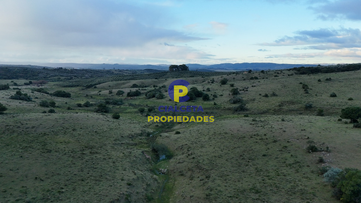 Chacra ID.460 - 5 hectáreas a 10 km de Pueblo Edén, sobre camino