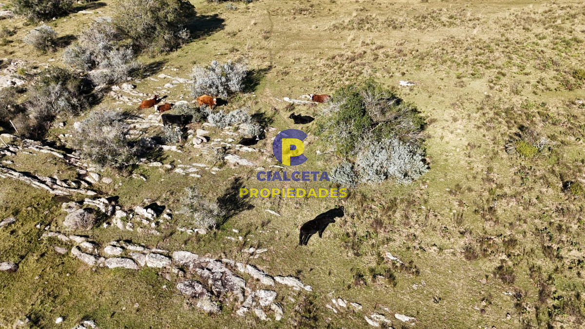 Chacra ID.493 - 5 hectáreas con entrega de 6 mil dólares