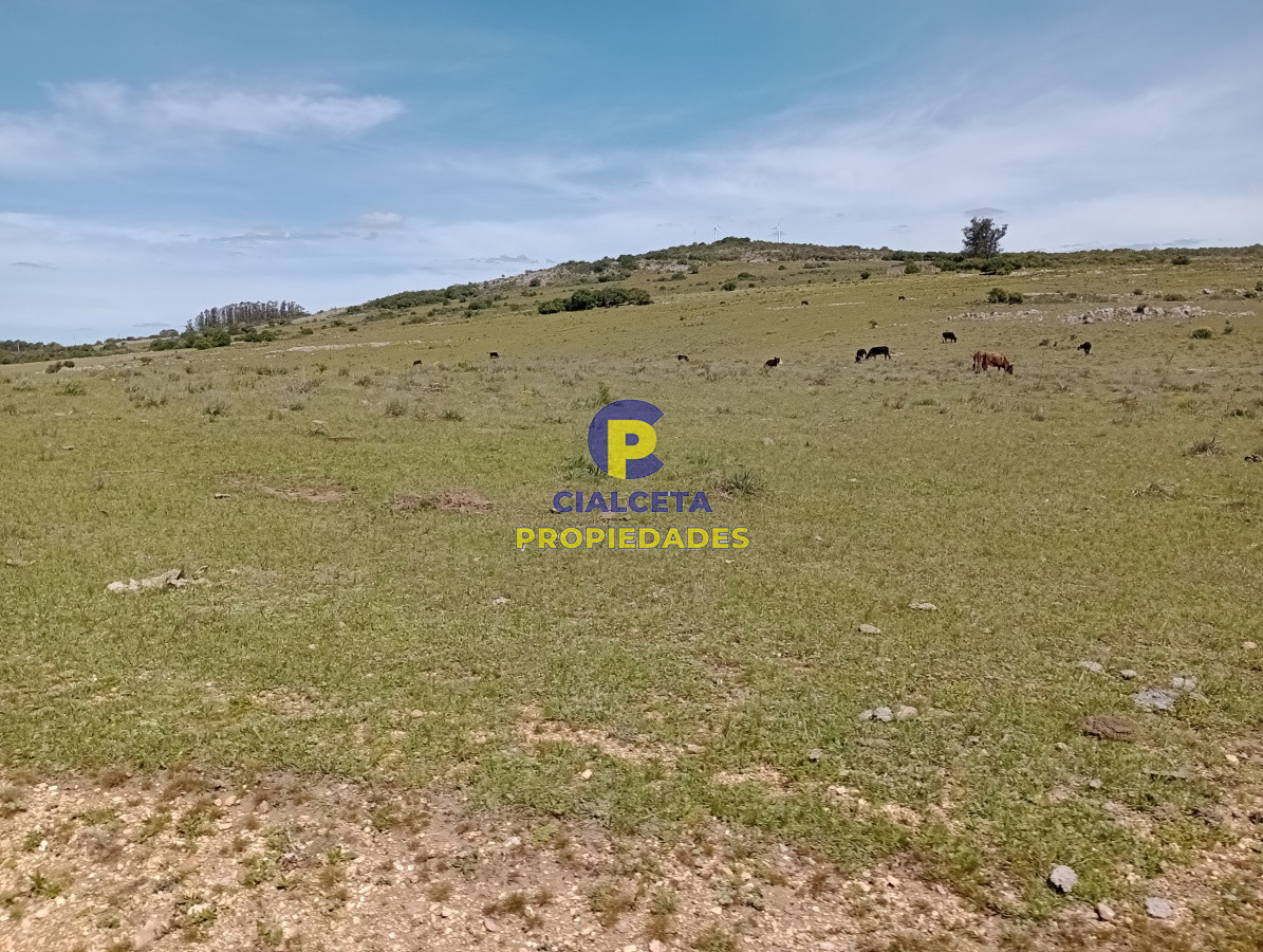 Chacra ID.208 - 5 hectáreas en Pueblo Edén