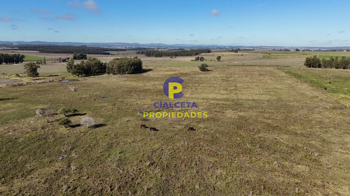Minas - GoPunta - Portal Inmobiliario de Punta del Este - Maldonado